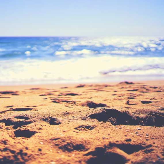 Seascape Collection