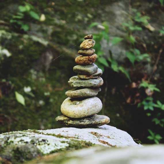 Zen Collection