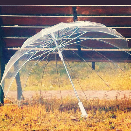 Transparent Umbrella - 2 Colors