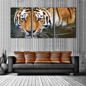 3 Pieces Decorative 3D Painting "Tiger's Look"